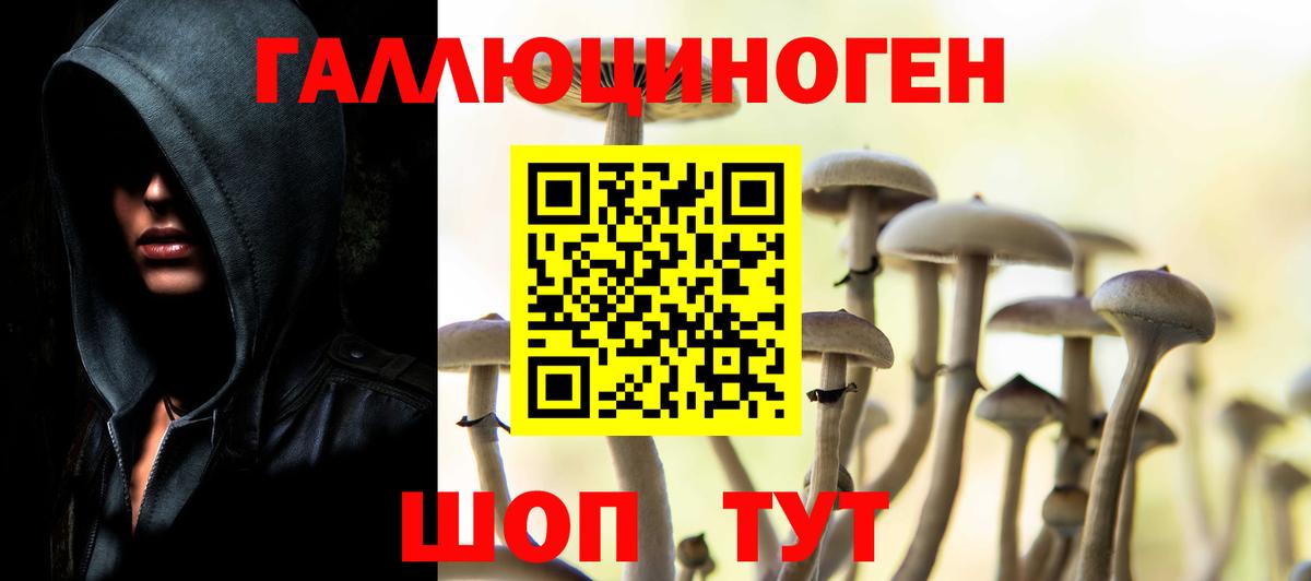 Сокол  Псилоцибиновые грибы мухоморы  Вход с VPN 