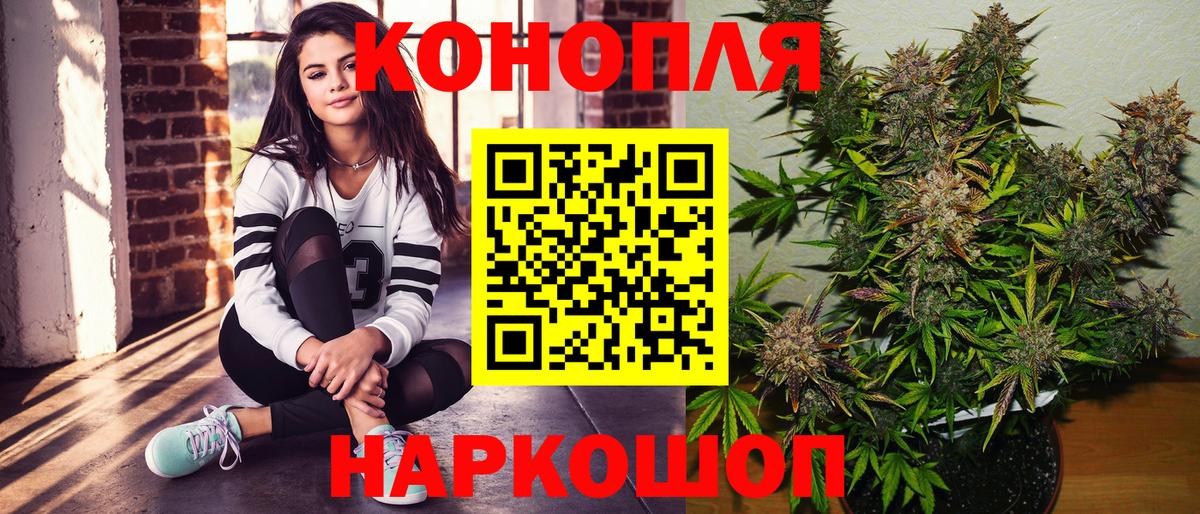 Конопля Ganja  Бошки Шишки THC 21%  Бошки Шишки индика  Сокол  Вход с VPN 